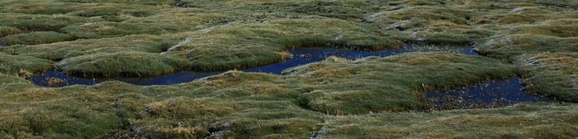 header1.JPG