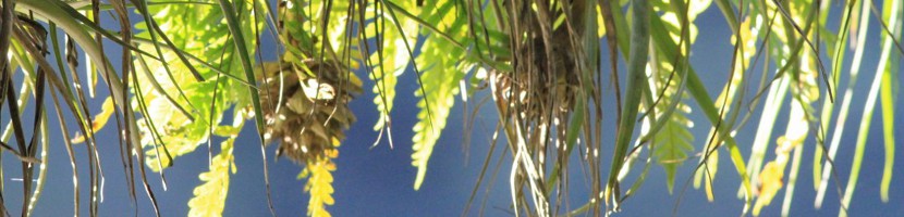 header4.JPG