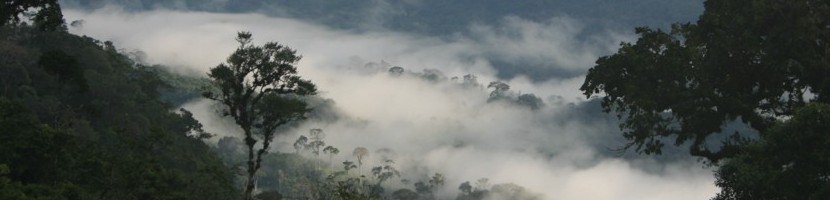 header7.JPG