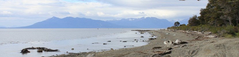 header8.JPG